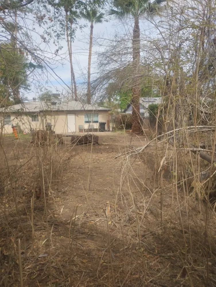 Local lawn care service for beautiful yards across Phoenix, AZ - Nana & Tatas Landscaping