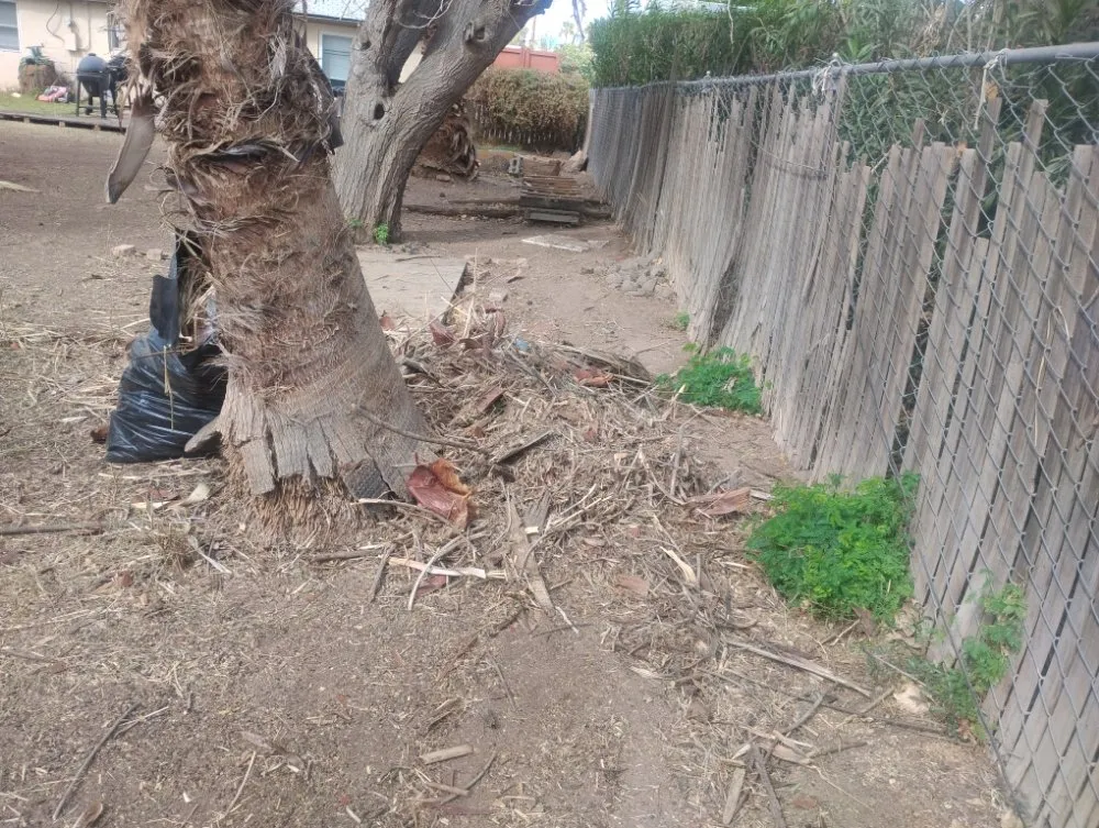 Trusted yard cleanup service for year-round maintenance across Phoenix, AZ - Nana & Tatas Landscaping