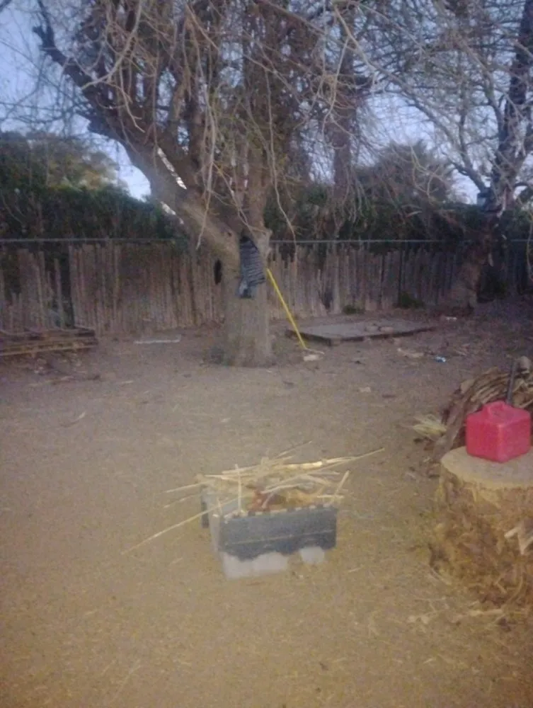 Trusted residential landscaping in Phoenix, AZ by Nana & Tatas Landscaping