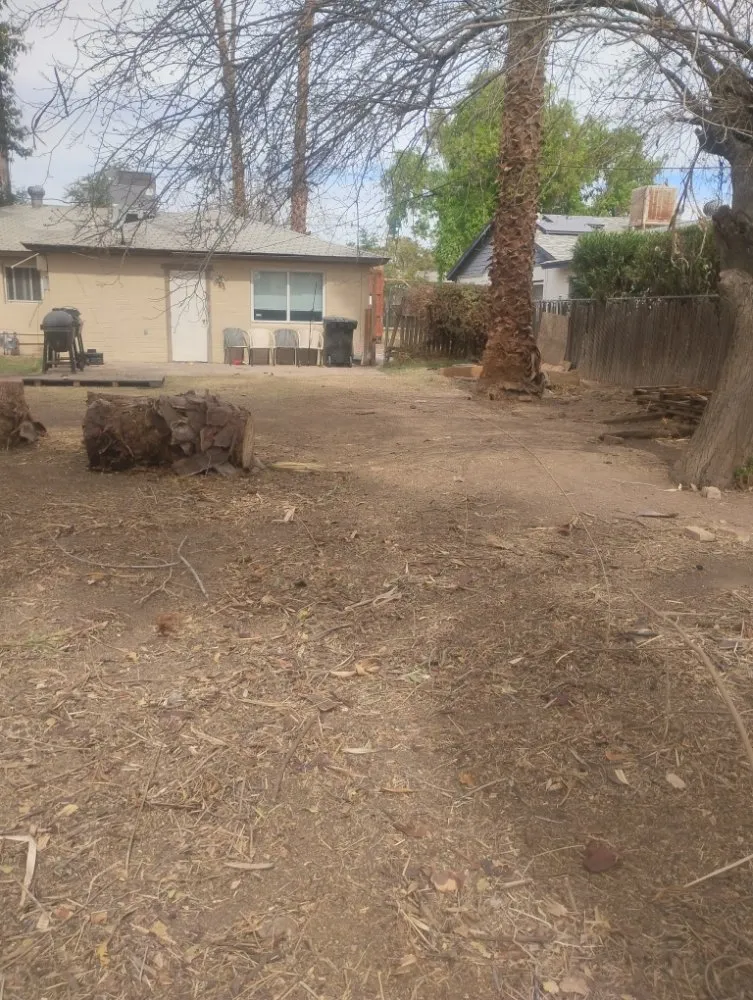 Top-rated yard cleanup service for beautiful yards in Phoenix, AZ by Nana & Tatas Landscaping