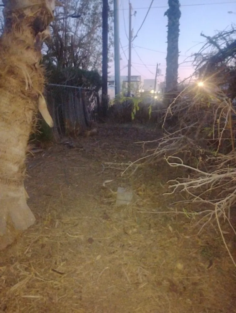 Professional garden landscaping in Phoenix, AZ by Nana & Tatas Landscaping