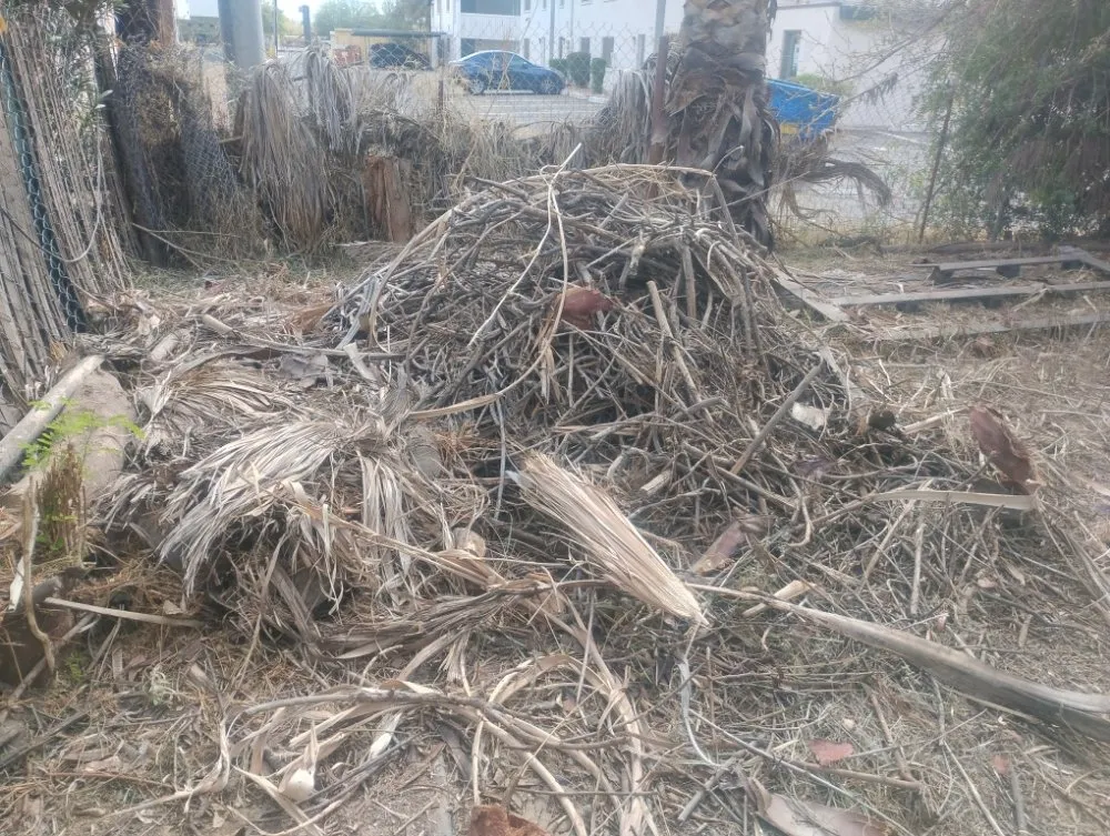 Top-rated landscaping services in Phoenix, AZ by Nana & Tatas Landscaping