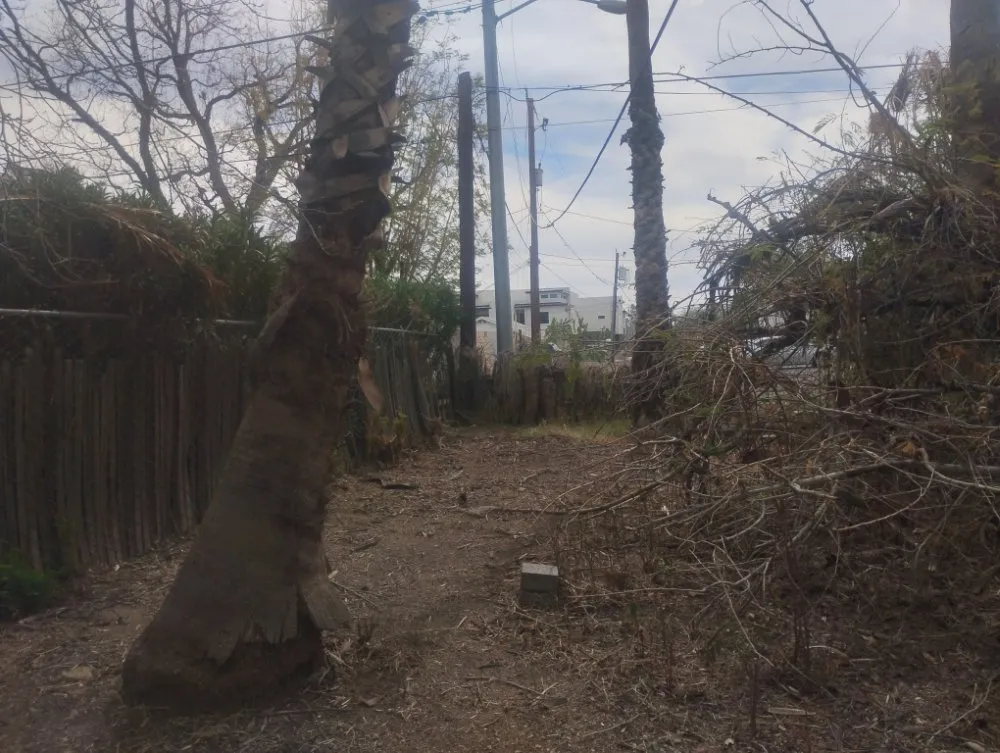 Professional outdoor landscaping for homes in Phoenix, AZ by Nana & Tatas Landscaping