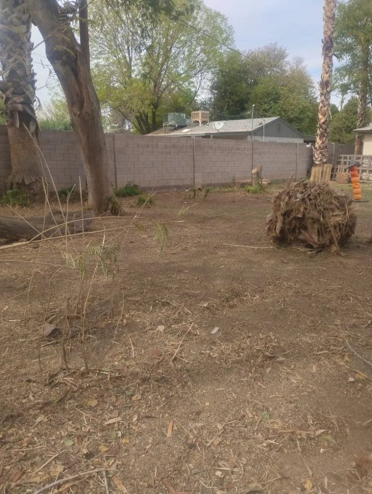 Trusted lawn mowing service experts serving Phoenix, AZ - Nana & Tatas Landscaping