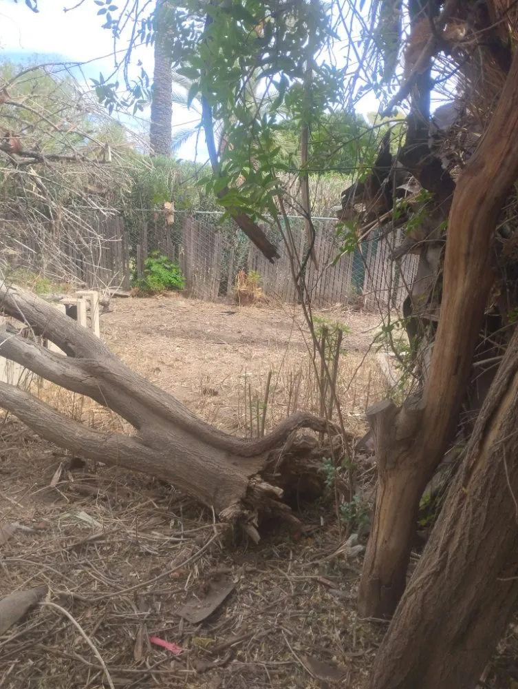 Trusted landscape design in Phoenix, AZ by Nana & Tatas Landscaping