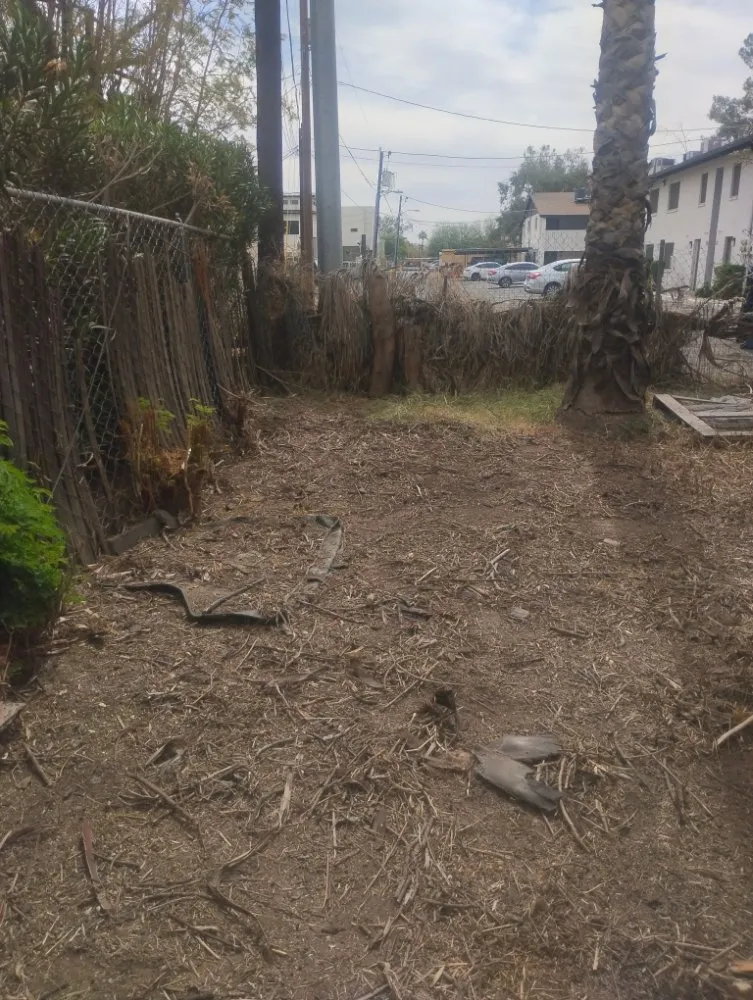 Trusted landscape installation experts serving Phoenix, AZ - Nana & Tatas Landscaping