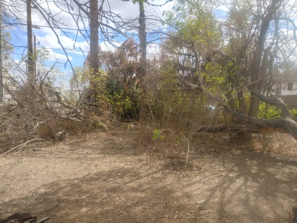 Reliable landscape design in Phoenix, AZ by Nana & Tatas Landscaping