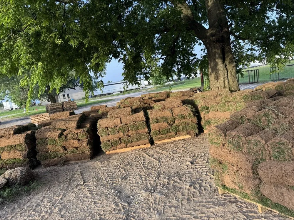 Local lawn mowing service experts serving Fayetteville, AR - Nancy And Richards Landscaping