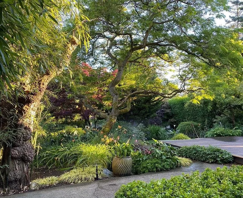 Expert outdoor landscaping experts serving Seattle, WA - Nancy Fritz Designs