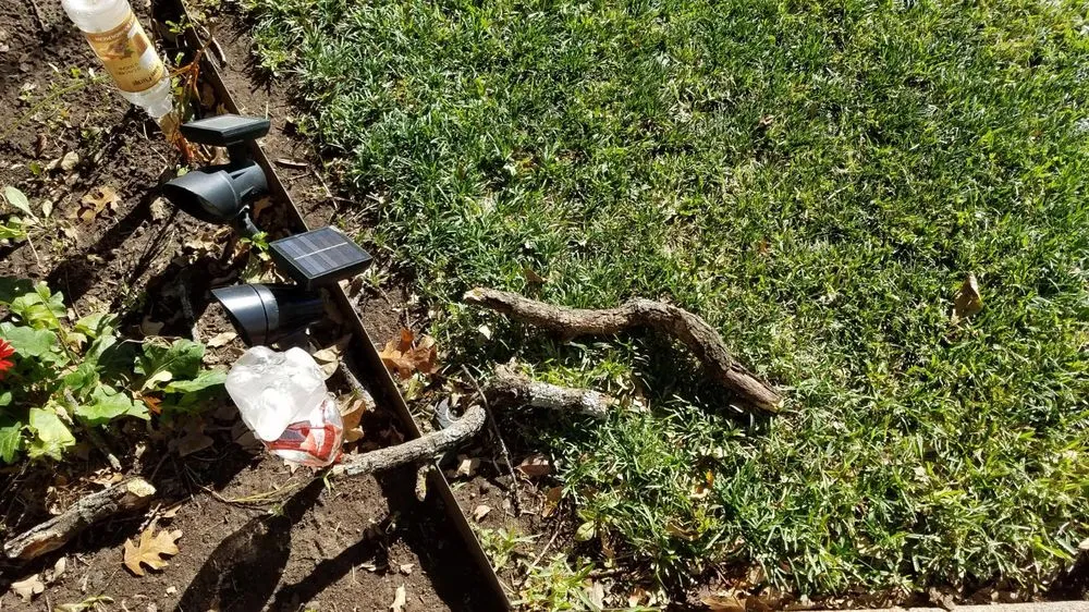 Affordable landscaping services experts serving Fort Worth, TX - Nancy's Landscape