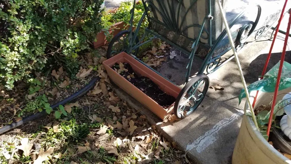 Affordable yard maintenance for residential properties across Fort Worth, TX - Nancy's Landscape