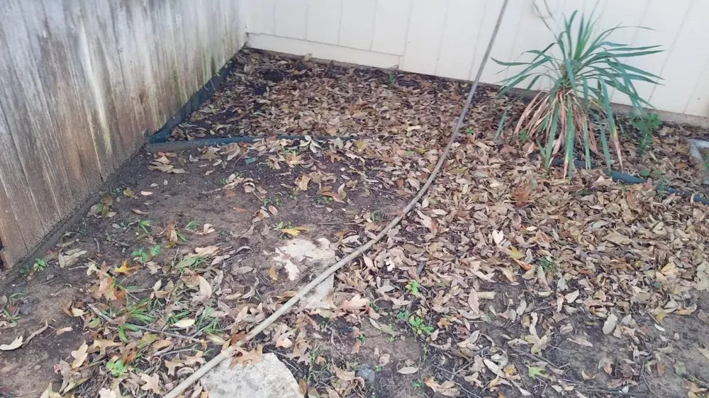 Affordable landscape design for homes in Fort Worth, TX by Nancy's Landscape