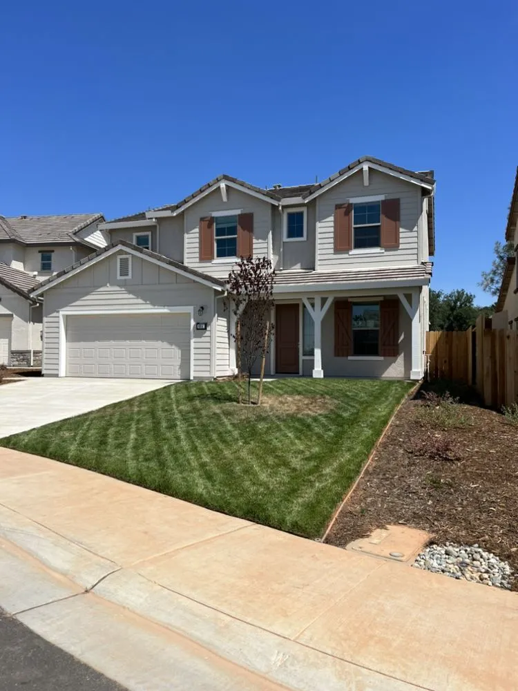 Expert yard cleanup service for year-round maintenance across Foothill Farms, CA - Nano's Lawn Care Service