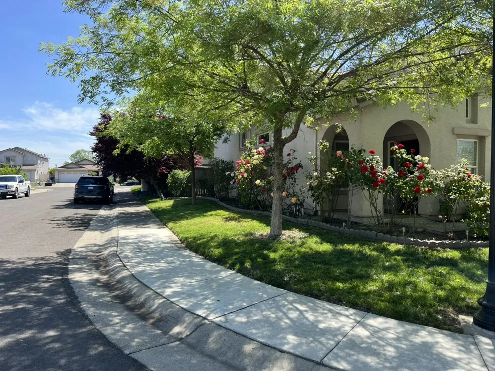 Professional lawn care service in Foothill Farms, CA by Nano's Lawn Care Service