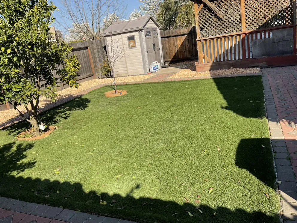 Custom yard cleanup service for year-round maintenance in Foothill Farms, CA by Nano's Lawn Care Service