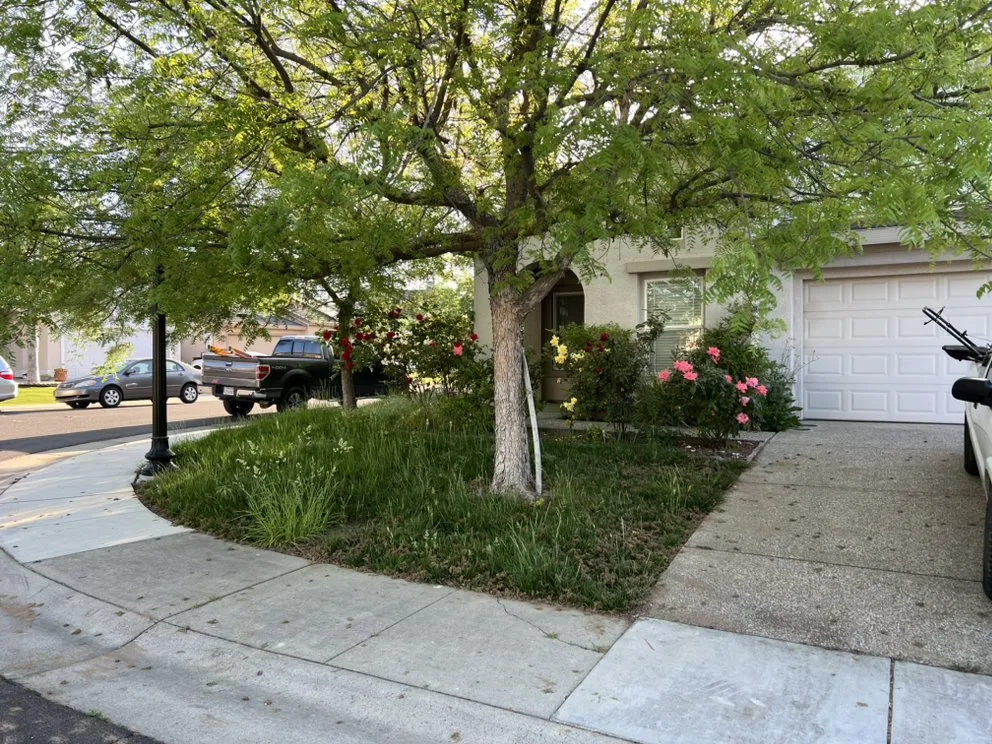 Professional yard maintenance with custom design in Foothill Farms, CA by Nano's Lawn Care Service