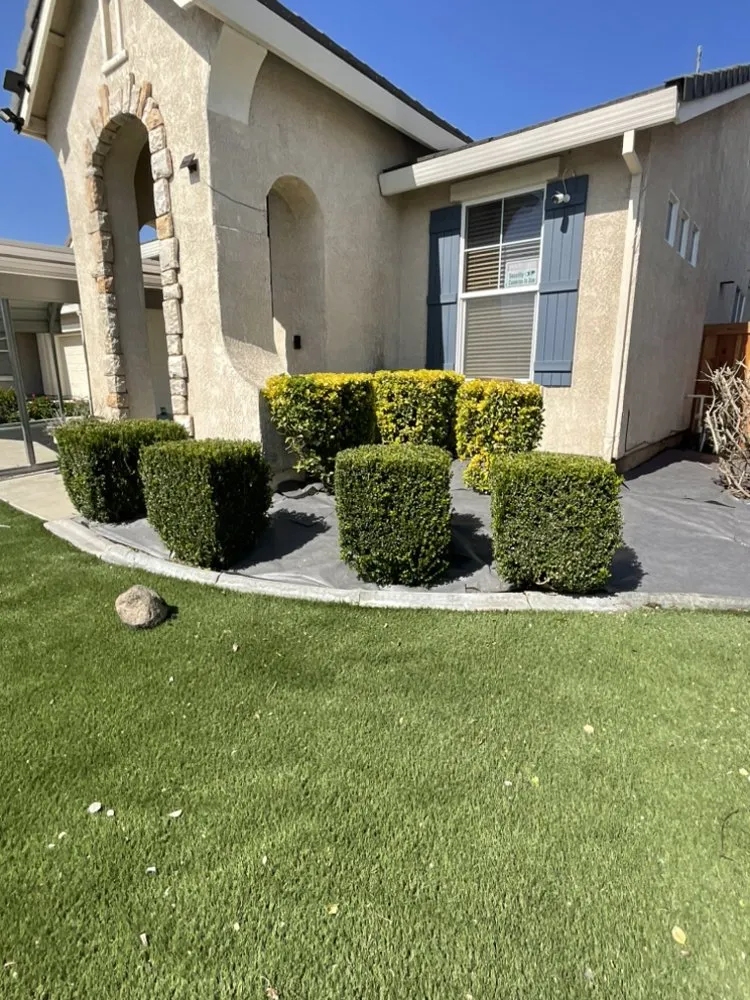Expert yard cleanup service experts serving Foothill Farms, CA - Nano's Lawn Care Service