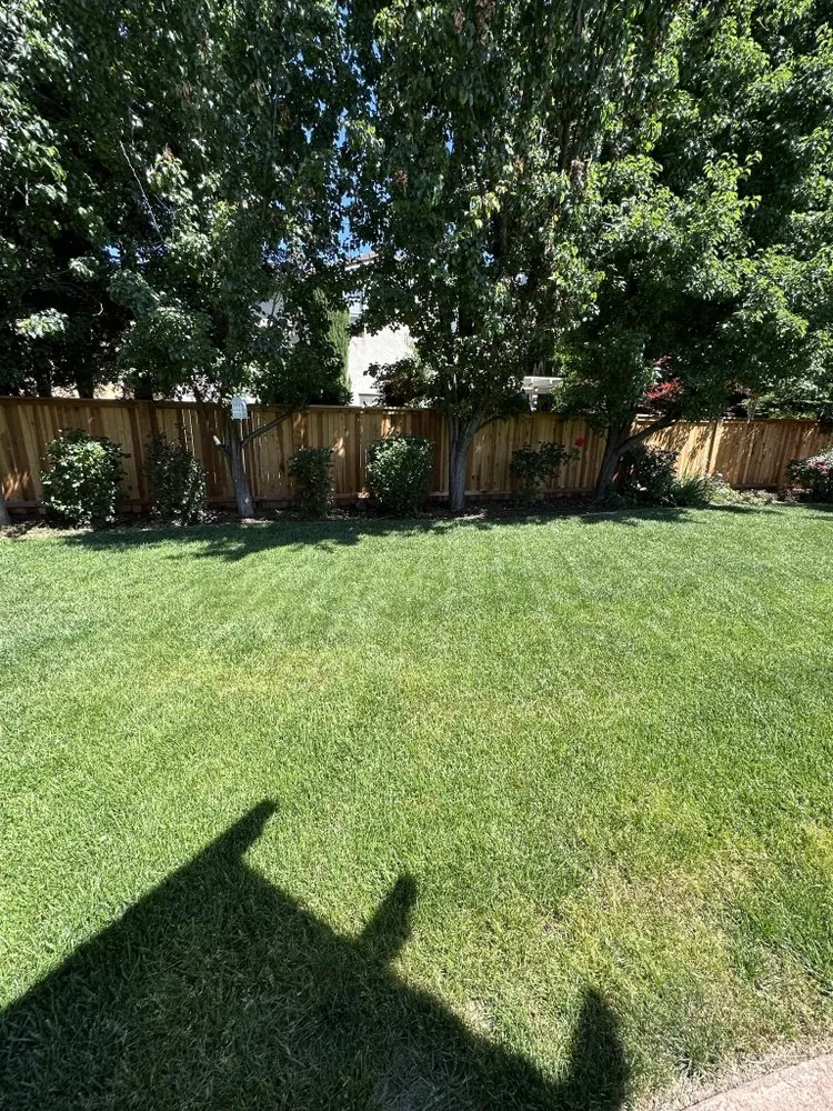 Reliable landscaping services for year-round maintenance across Foothill Farms, CA - Nano's Lawn Care Service