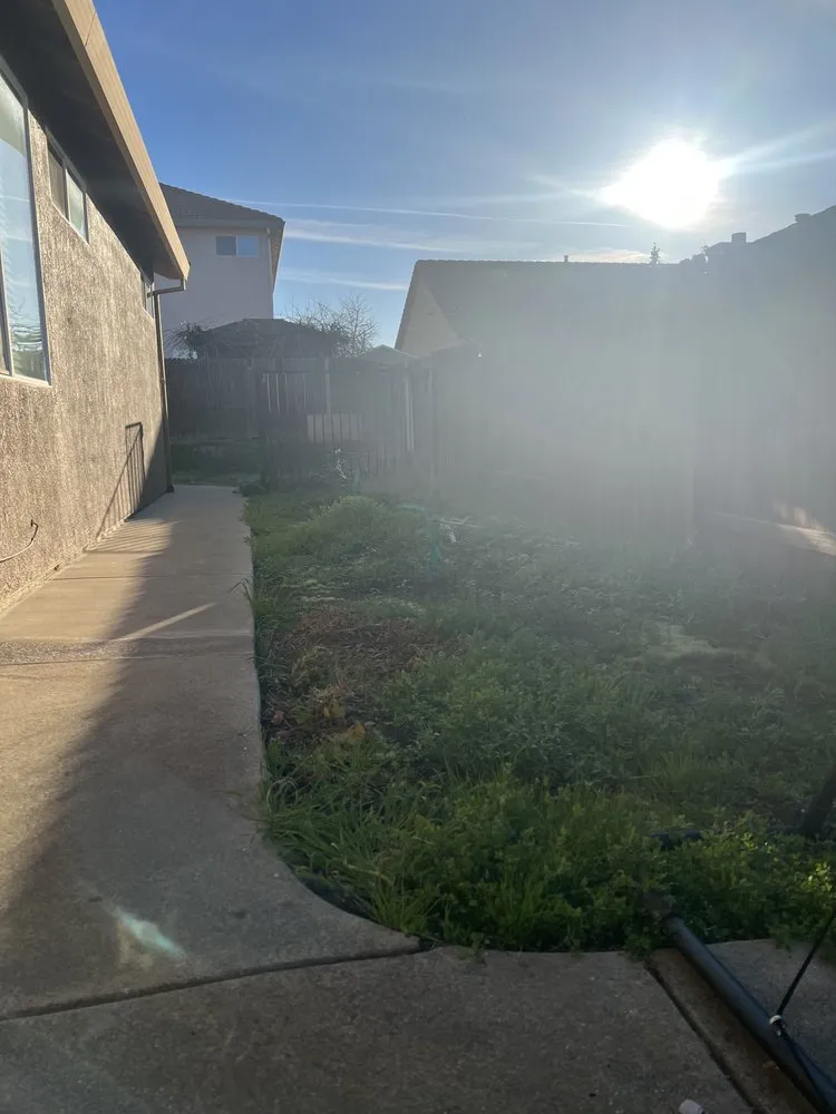 Affordable landscaping services experts serving Foothill Farms, CA - Nano's Lawn Care Service