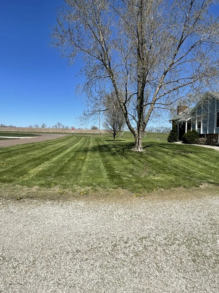 Top-rated yard cleanup service for year-round maintenance in Saint Joseph, MO by Nans Lawn Care