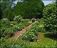 Professional residential landscaping in Nantucket, MA by Nantucket Trees Landscaping