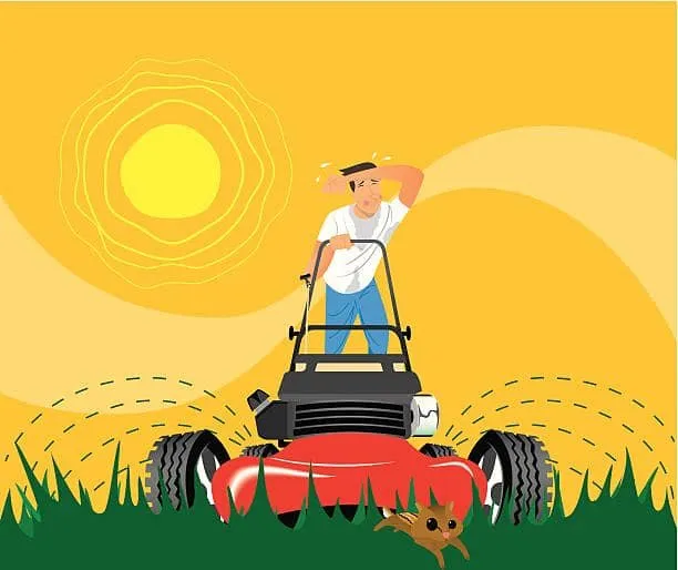 Professional landscape design experts serving Bridgeville, PA - Nanz Lawn Care