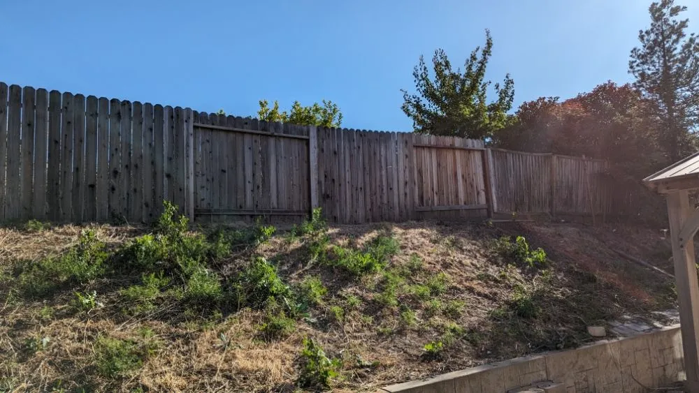 Affordable outdoor landscaping experts serving Napa, CA - Napa Roots Landscaping