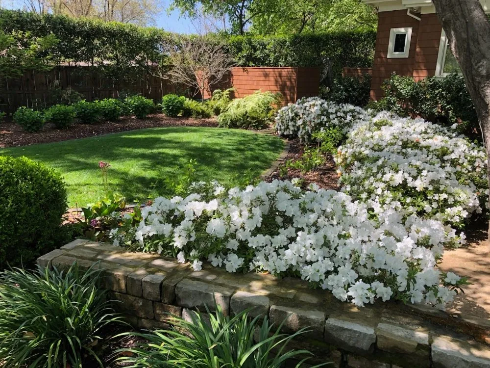 Local garden landscaping experts serving Napa, CA - Napa Roots Landscaping