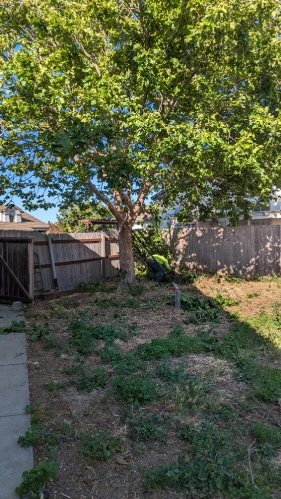 Trusted landscape installation in Napa, CA - Napa Roots Landscaping