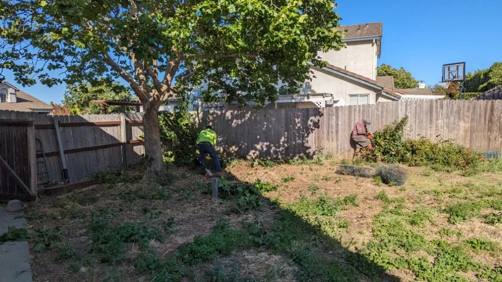 Professional landscape installation in Napa, CA - Napa Roots Landscaping
