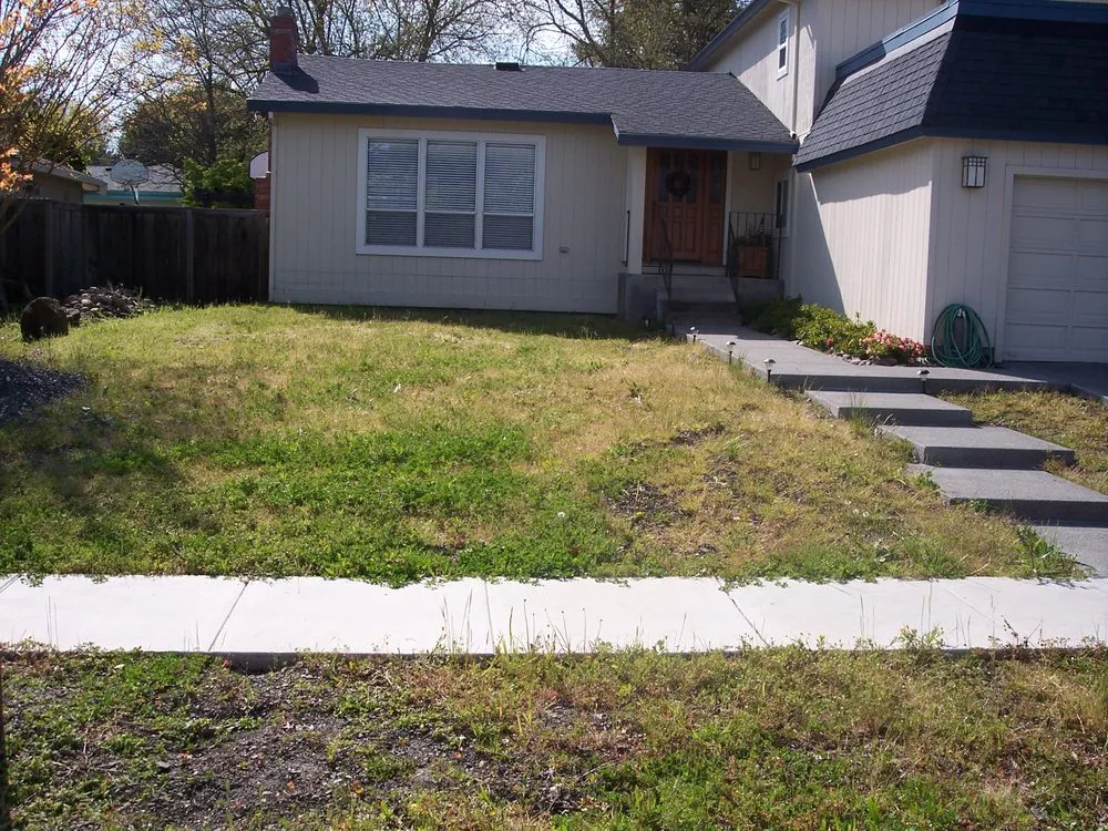 Expert yard cleanup service in Napa, CA by Napa Valley Lawn & Garden Co.