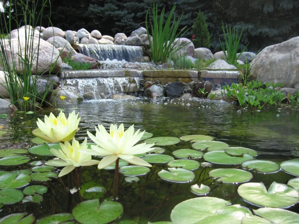Expert garden landscaping for beautiful yards across Napa, CA - Napa Valley Ponds and Water Features
