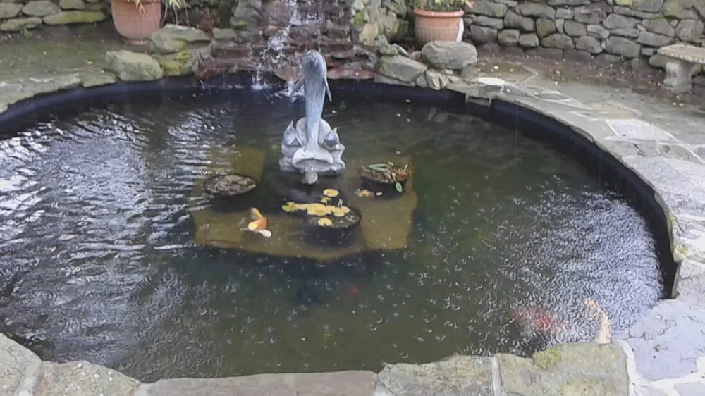 Local landscape design in Napa, CA - Napa Valley Ponds and Water Features