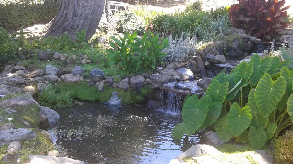Local lawn mowing service in Napa, CA by Napa Valley Ponds and Water Features