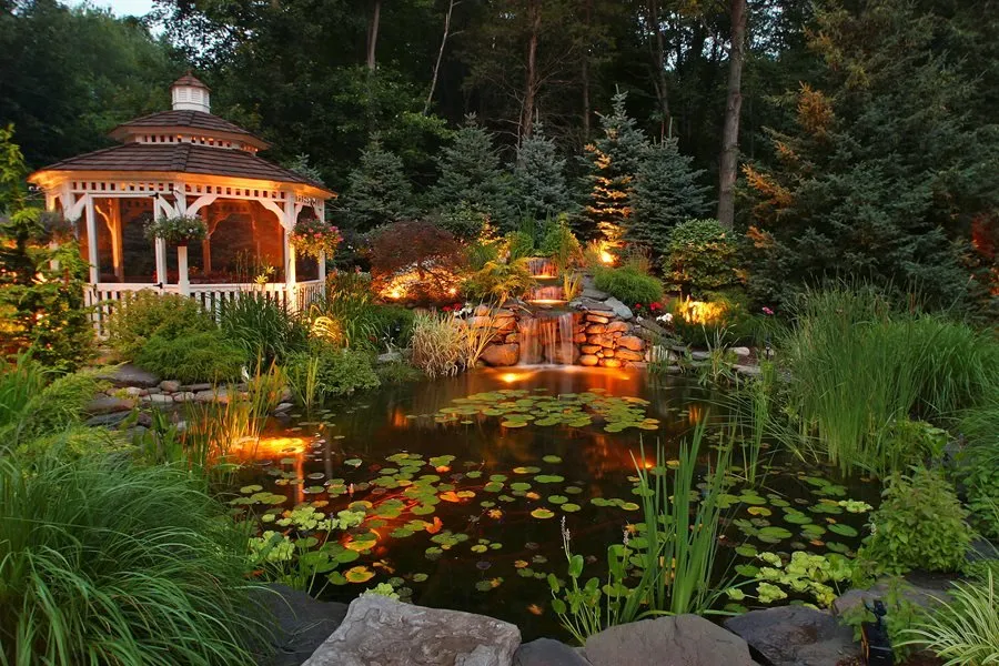 Local yard cleanup service in Napa, CA - Napa Valley Ponds and Water Features