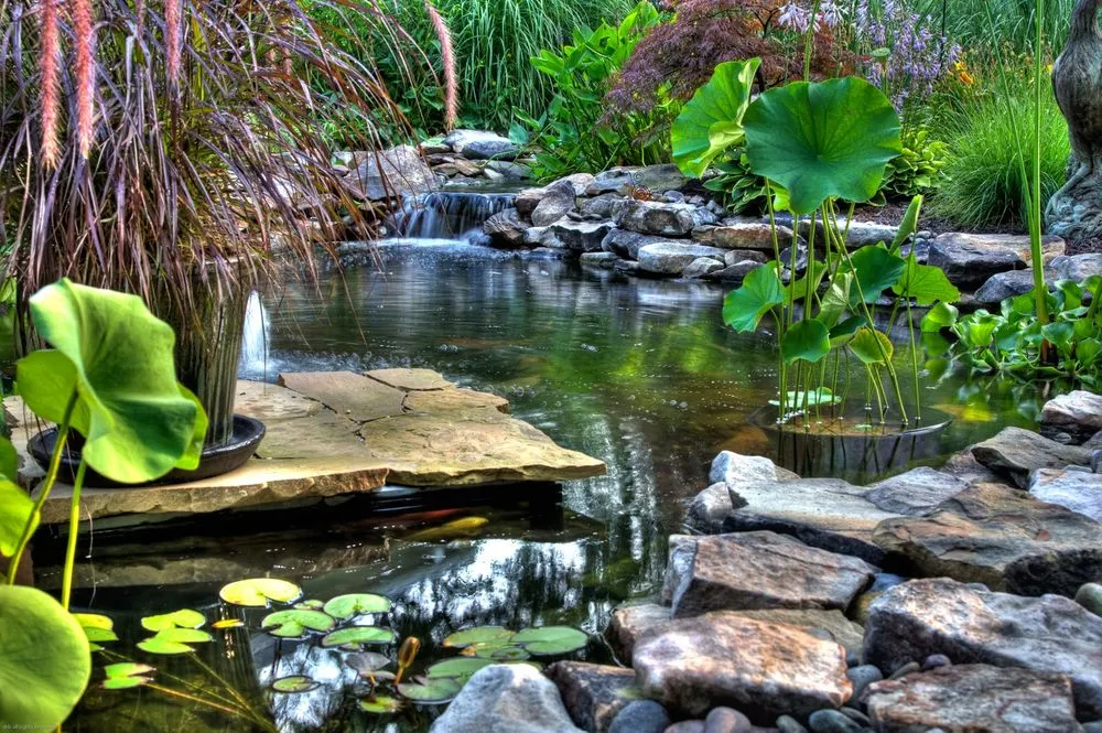 Local landscape installation near you across Napa, CA - Napa Valley Ponds and Water Features