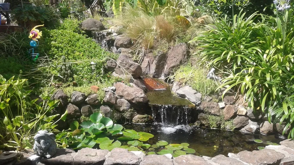 Professional yard maintenance for year-round maintenance across Napa, CA - Napa Valley Ponds and Water Features