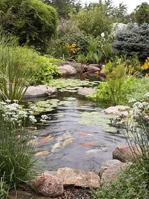 Custom yard maintenance in Napa, CA by Napa Valley Ponds and Water Features
