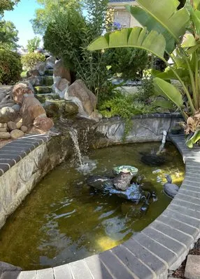 Napa Valley Ponds and Water Features