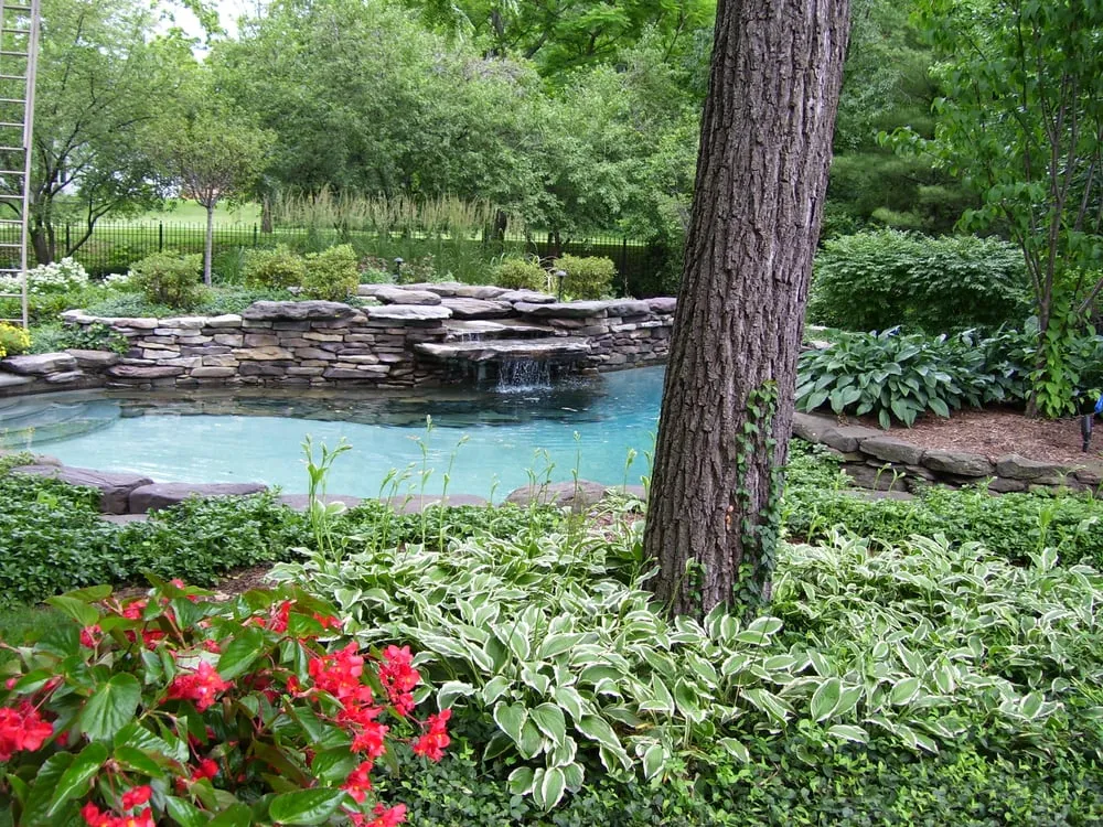 Top-rated outdoor landscaping in Plainfield, IL - Naper Lawn Works