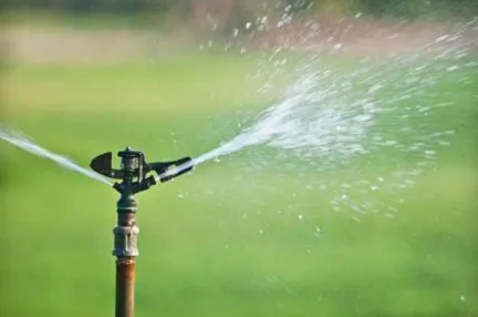 Custom lawn care service for beautiful yards in Plainfield, IL by Naper Lawn Works