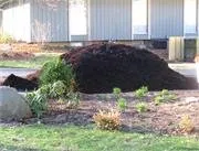 Affordable yard cleanup service for residential properties across Naperville, IL - Naperville Mulch Sales