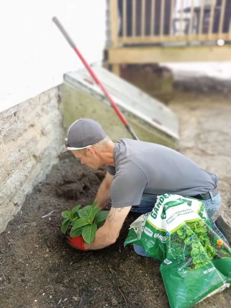 Top-rated garden landscaping experts serving Mays Lick, KY - Napiers Landscaping and more