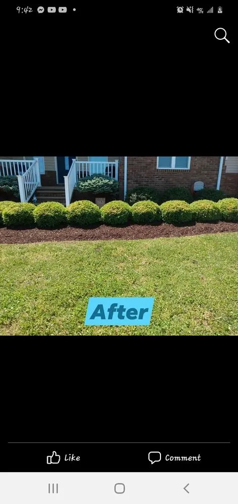 Top-rated yard maintenance near you across Mays Lick, KY - Napiers Landscaping and more