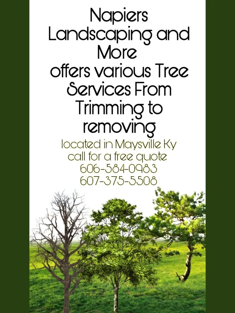 Professional yard maintenance for homes across Mays Lick, KY - Napiers Landscaping and more