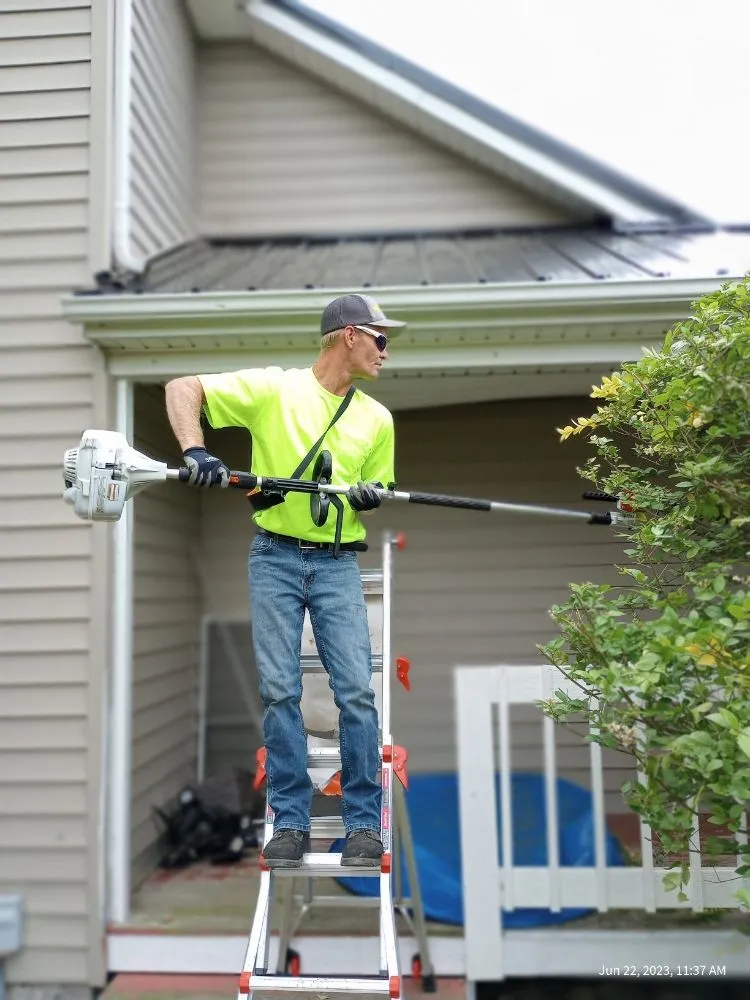 Expert landscape design experts serving Mays Lick, KY - Napiers Landscaping and more