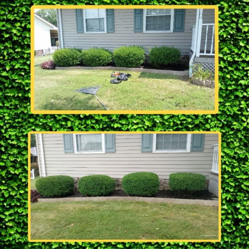 Top-rated landscaping services in Mays Lick, KY - Napiers Landscaping and more