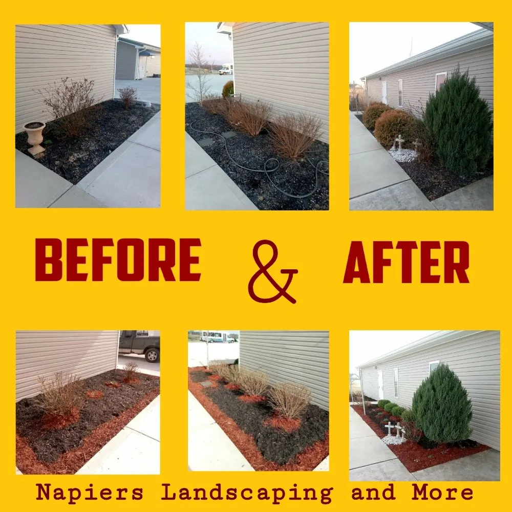 Reliable garden landscaping for homes in Mays Lick, KY by Napiers Landscaping and more