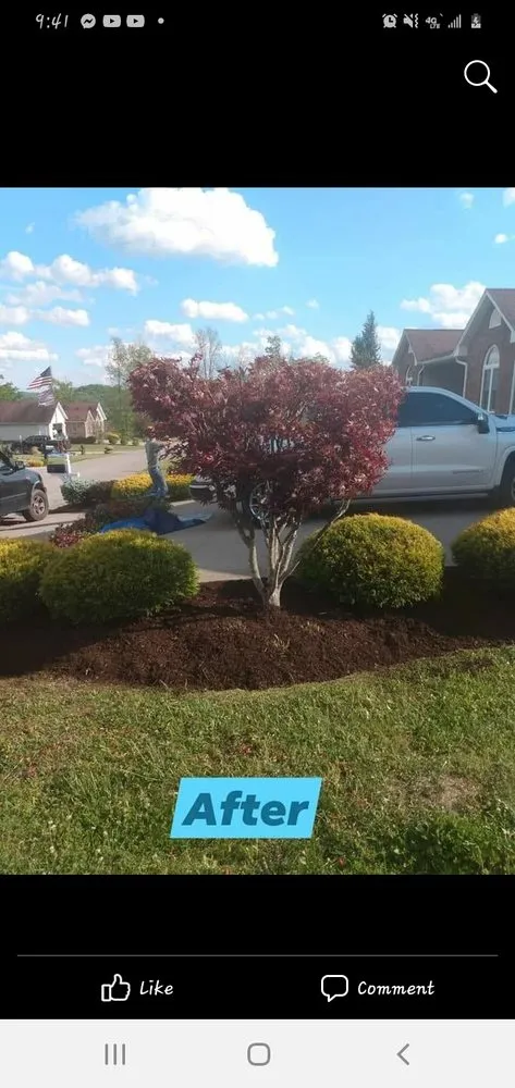 Local garden landscaping for beautiful yards in Mays Lick, KY by Napiers Landscaping and more