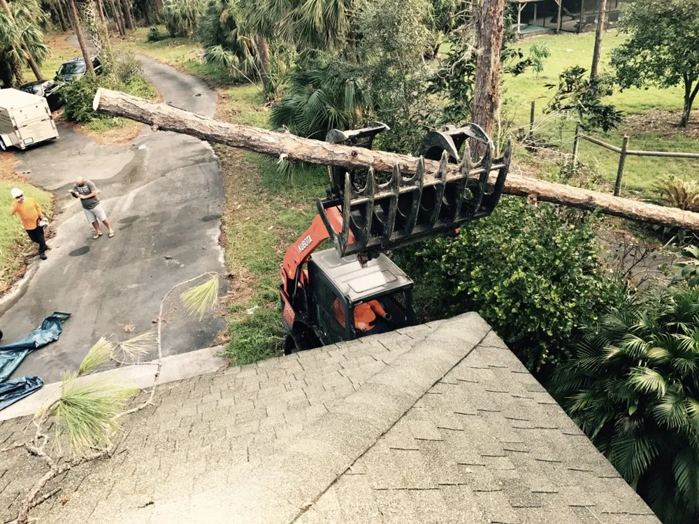 Expert yard maintenance experts serving Naples, FL - Naples Elite Bobcat and Landscape